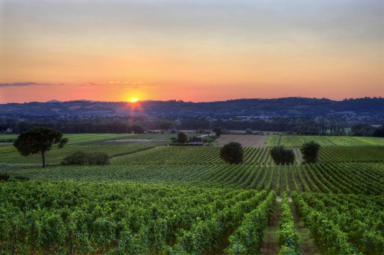 Poggio Alle Vigne Торджано Екстериор снимка