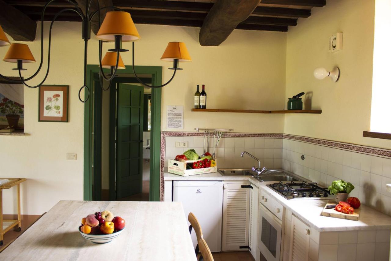 Poggio Alle Vigne Торджано Екстериор снимка