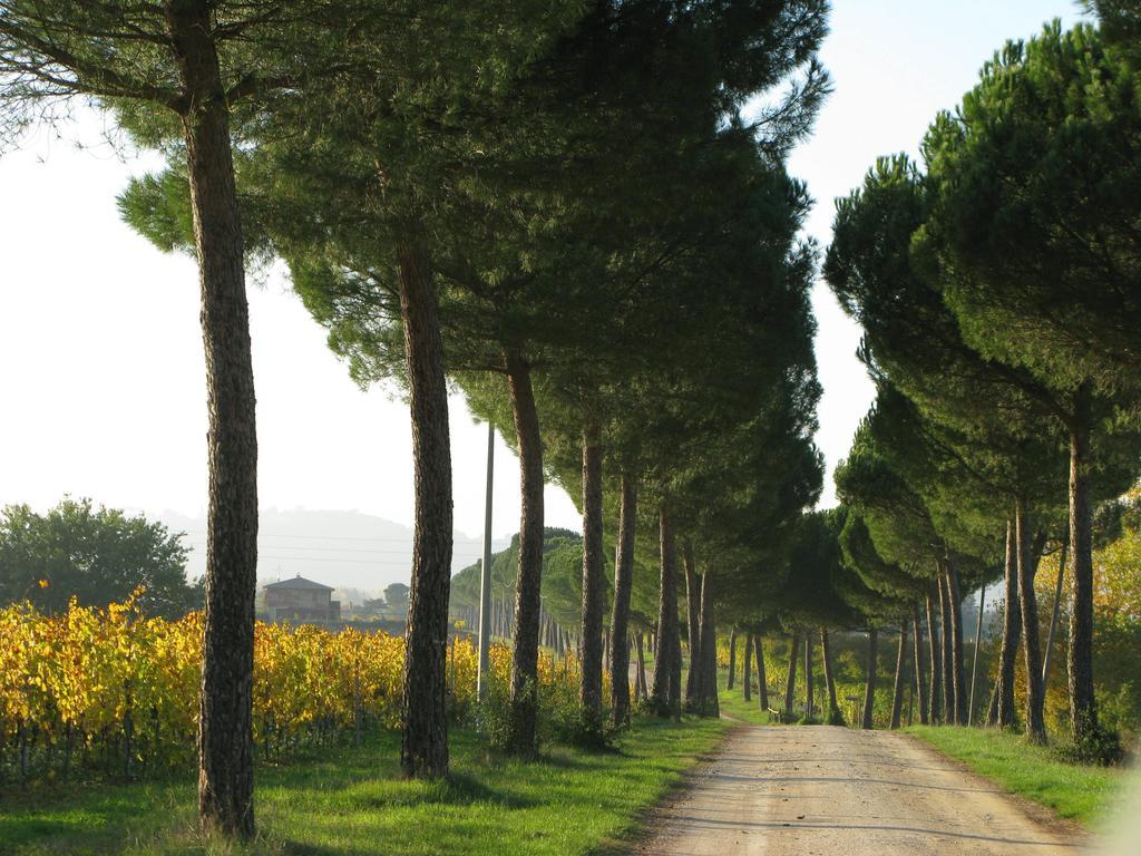 Poggio Alle Vigne Торджано Екстериор снимка