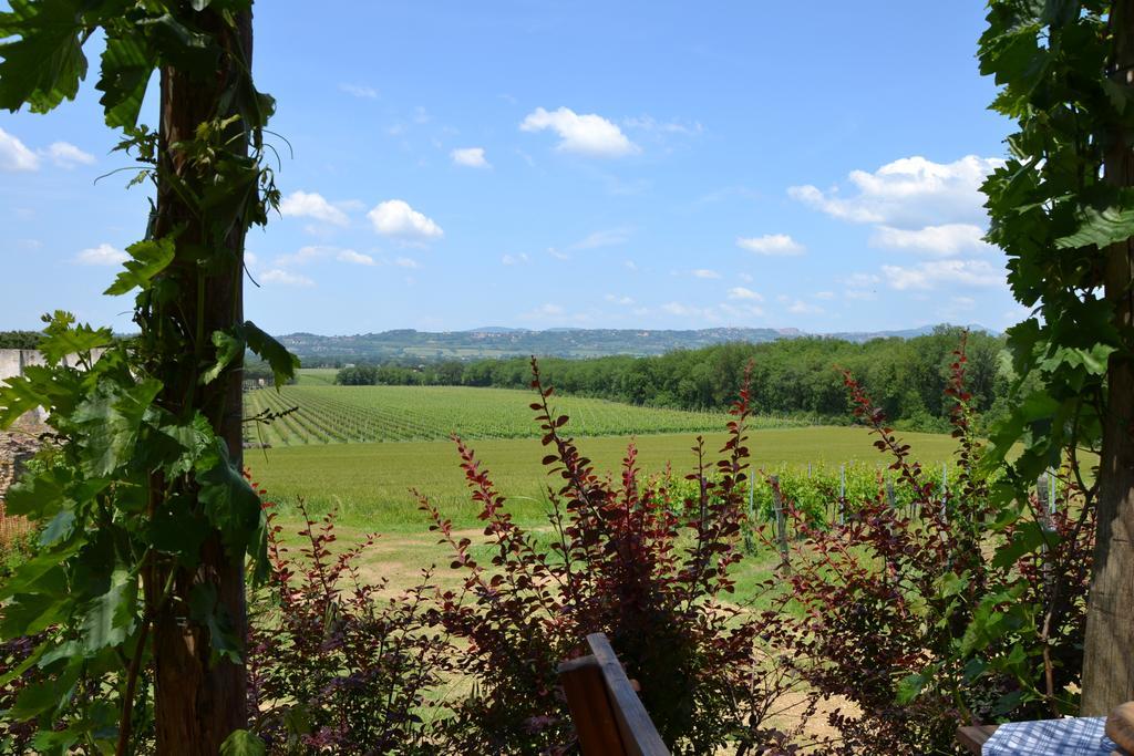 Poggio Alle Vigne Торджано Екстериор снимка